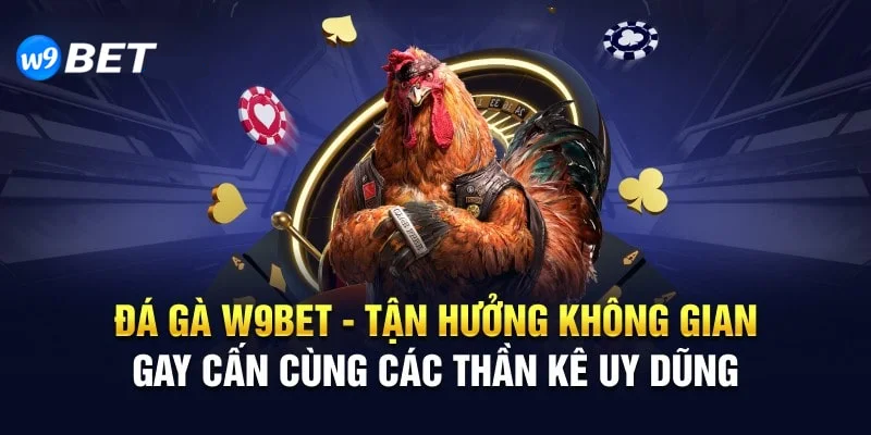 Đá gà W9bet trực tuyến - tận hưởng không gian gây cấn cùng các thần kê uy dũng